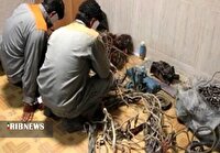 دستگیری سارقان سیم و کابل مخابراتی در خرم‌آباد
