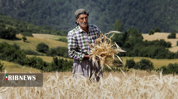 ندای لرستان