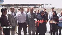 افتتاح اولین واحد صنعتی بسته‌بندی مرغ و ماهی در الیگودرز