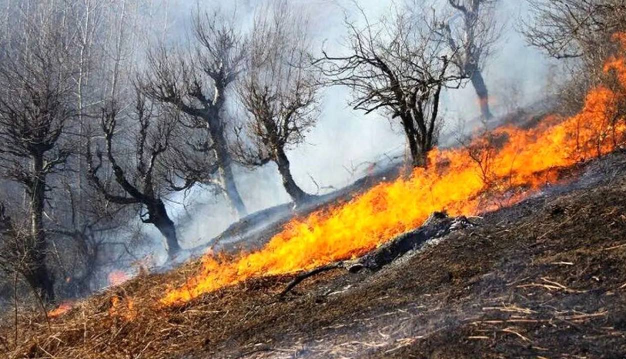 آتش‌سوزی‌های لرستان؛ کاهش خسارت اما زخم‌های عمیق بر طبیعت