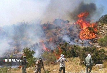 وقوع ۶۵ فقره حریق در مراتع و جنگل‌های لرستان