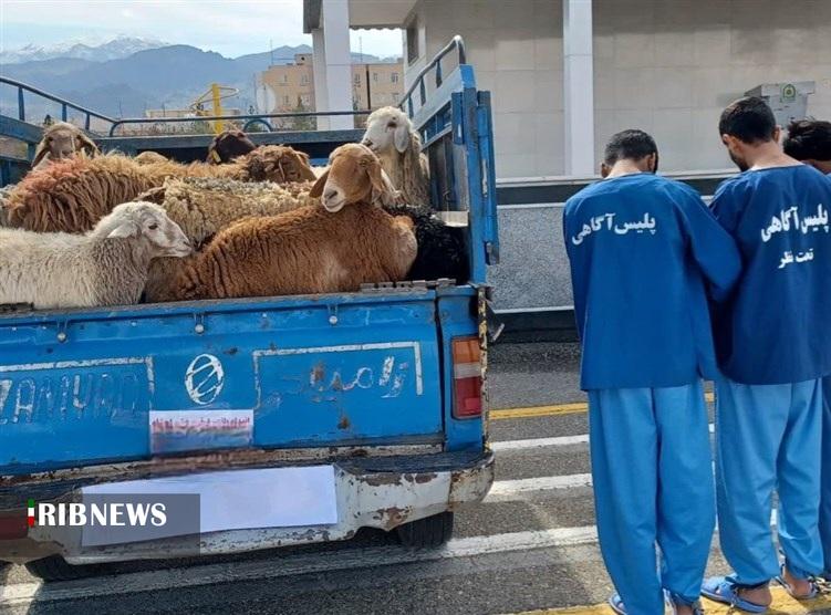 ندای لرستان