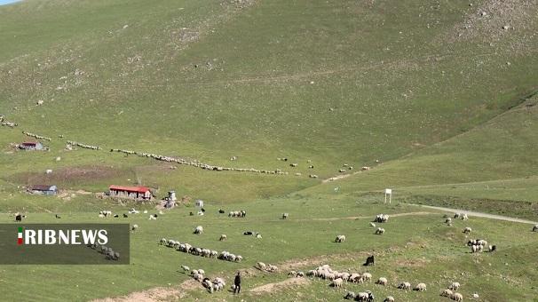 ندای لرستان