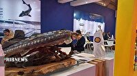 برگزاری نمایشگاه بین المللی شیلات، آذرماه در لرستان
