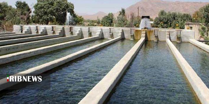 تولید بیش از دو هزار تن ماهی سردآبی در بروجرد