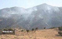 نجات جنگل‌های زخم خورده سفیدکوه لرستان با علم و همراهی مردم