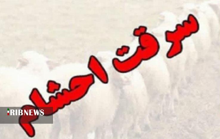 ندای لرستان