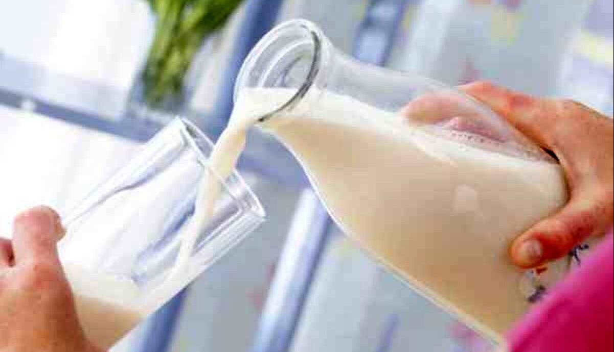نکات کلیدی در انتخاب شیر؛ چه شیری برای شما مناسب تر است؟