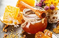 چهارمین جشنواره عسل اشترانکوه در ازنا