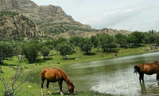 ندای لرستان