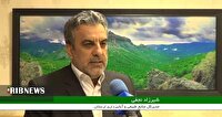 هشدار اداره کل منابع طبیعی لرستان به متخلفان خرید و فروش محصول جنگلی