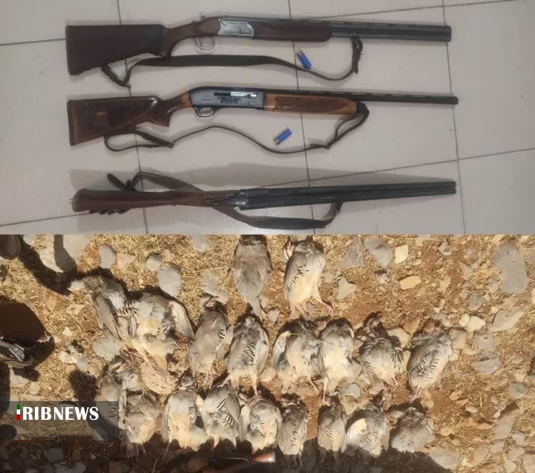 دستگیری شکارچیان کبک وحشی در لرستان