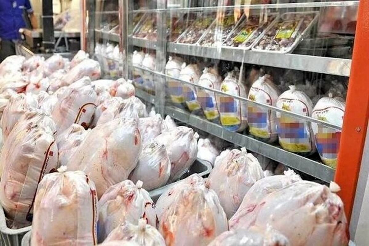 بانک مرکزی چگونه باعث بالا رفتن قیمت مرغ شد؟