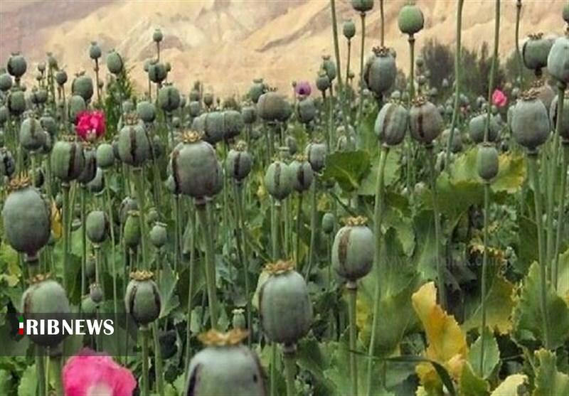 ندای لرستان