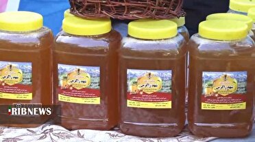 برگزاری چهارمین جشنواره طلای شیرین در ازنا