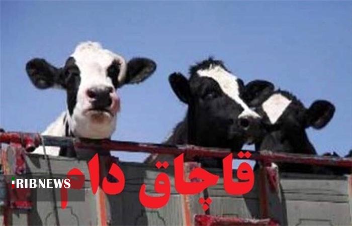ندای لرستان