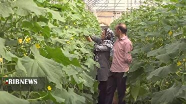 ۲۳ مهر ، روز جهانی زنان روستایی