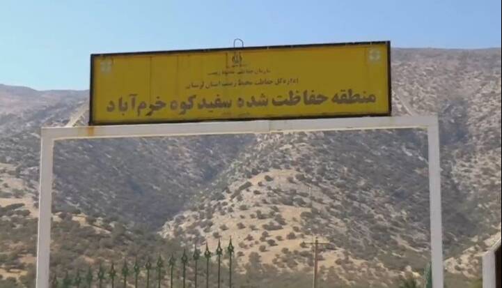 چشمان بیدار سفیدکوه؛ قلعه‌ گونه‌های نادر نگهبان می‌خواهد!