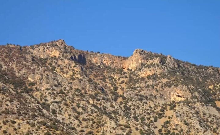 ندای لرستان