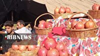 آغاز چهارمین جشنواره انار در تنگ سیاب کوهدشت
