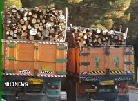 کشف ۲۵ تن چوب قاچاق در پلدختر