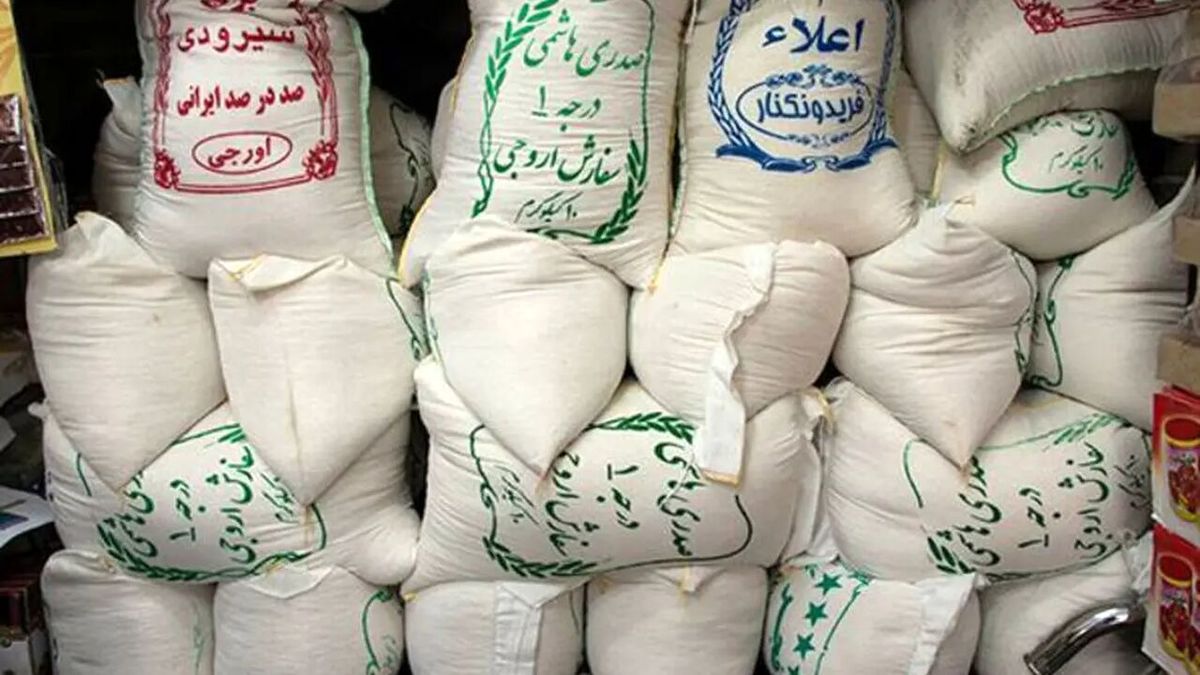 هشدار؛ دلالان می‌خواهند قیمت برنج را به بالای ۴۰۰ هزار تومان برسانند!