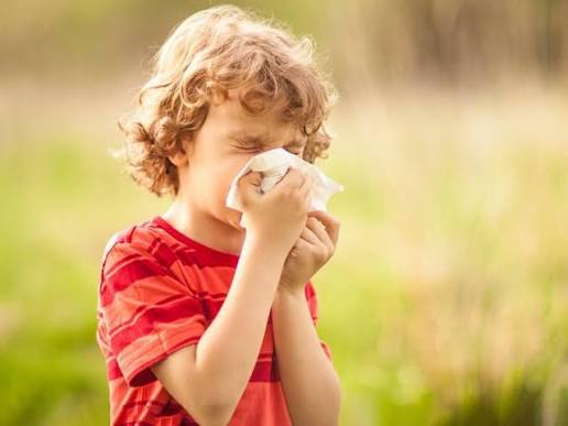 چه مواد خوراکی آلرژی فصلی را تشدید می کند؟