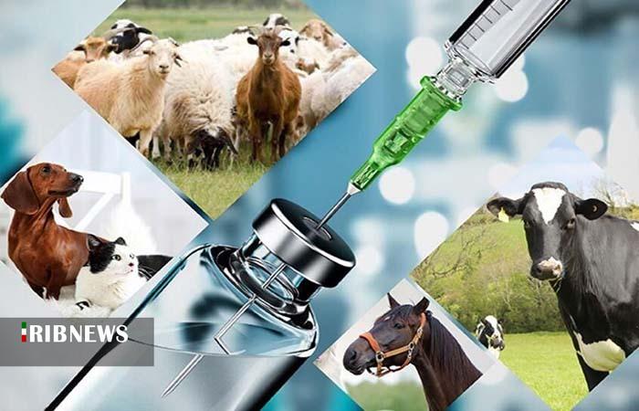 ندای لرستان