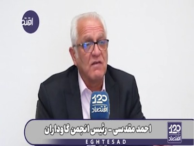 مقام صنفی: چرا دولت با واردات دام آلوده، تب برفکی را به جان دام‌های ما انداخت؟