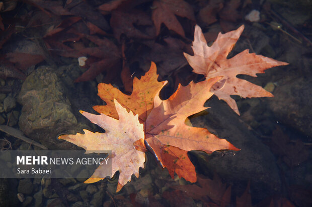 وقتی باران مسیر خود را گم می‌کند