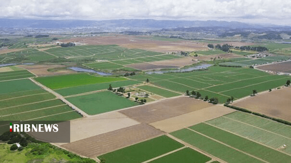 ساماندهی مالکیت ۴۱۳ هزار هکتار از اراضی کشاورزی لرستان