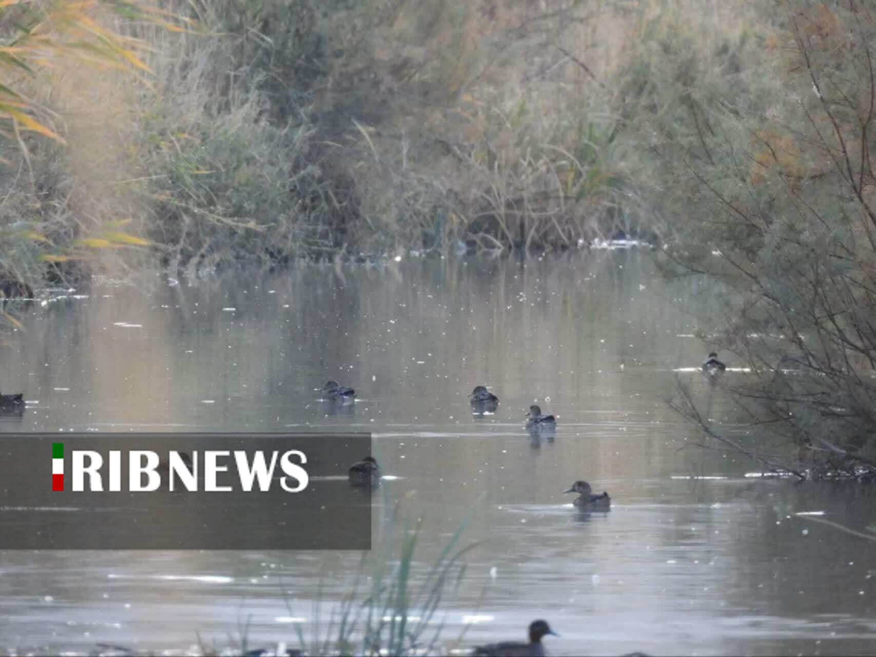 ندای لرستان