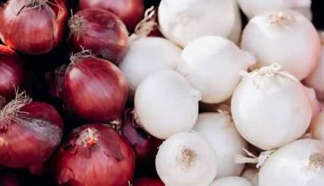 آیا پیاز سفید و قرمز ارزش غذایی یکسانی دارند؟