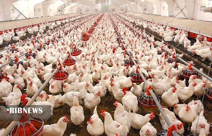 ندای لرستان