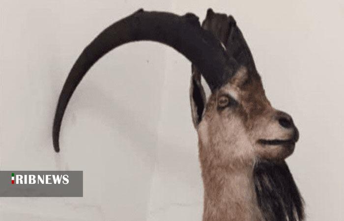 ندای لرستان