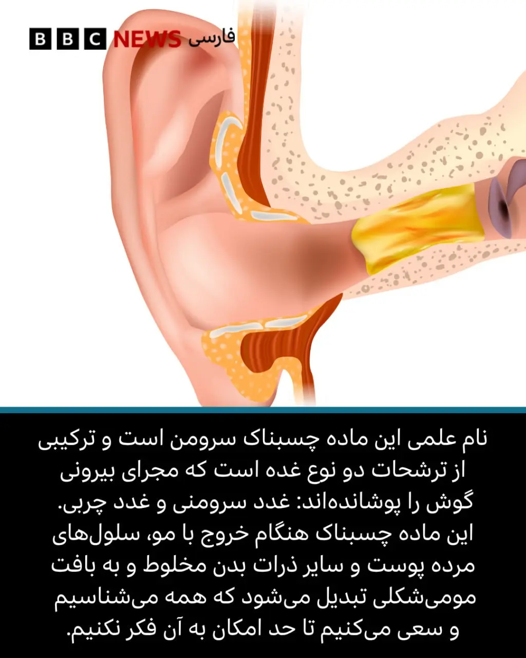ندای لرستان