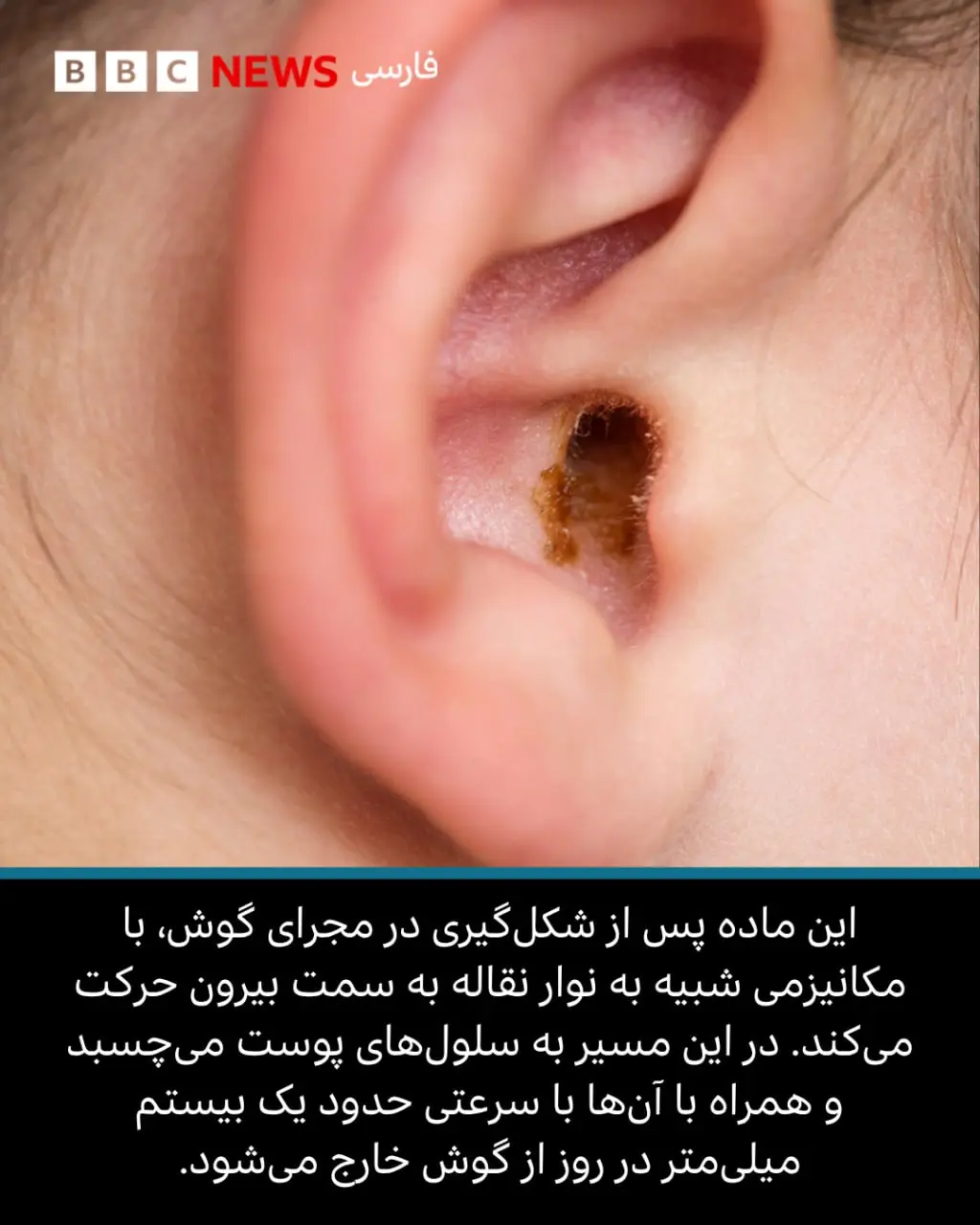 ندای لرستان