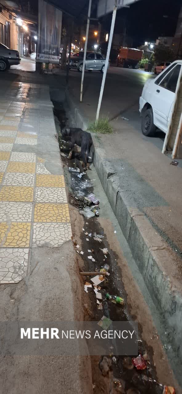 ندای لرستان