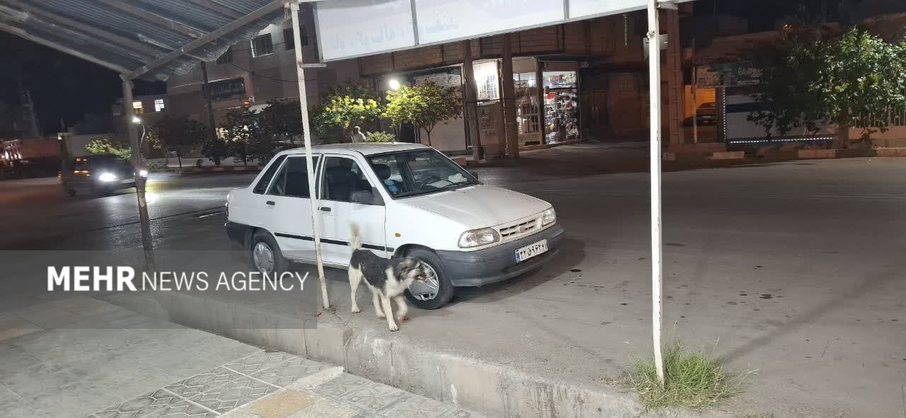 ندای لرستان