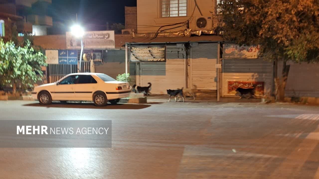 ندای لرستان