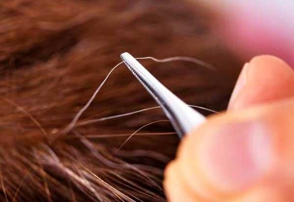 ندای لرستان