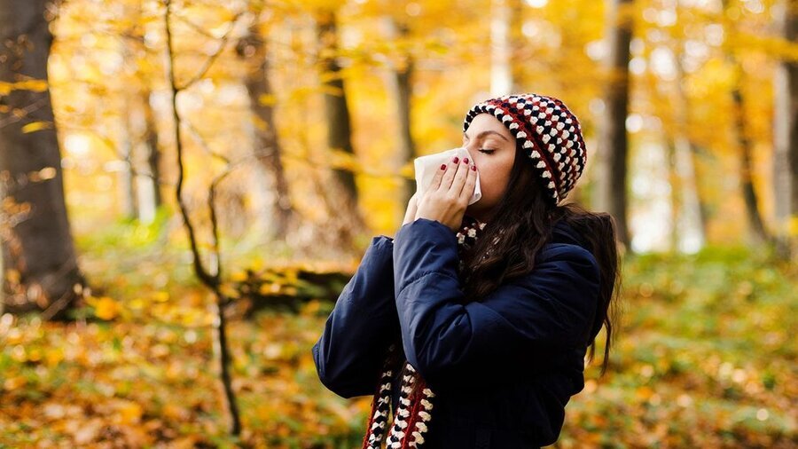 ندای لرستان