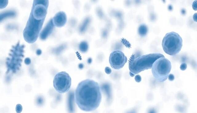 شعار و روزشمار هفته جهانی آگاهی از مقاومت میکروبی سال ۱۴۰۴ اعلام شد