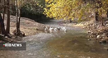 لبخند رحمت الهی در لرستان و خوشحالی مردم