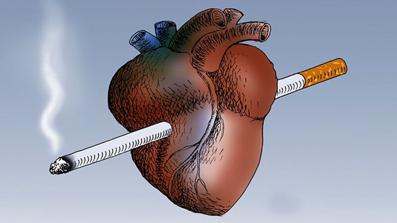 پژوهش تکان‌دهنده: ۱۰۰ نخ سیگار در طول عمر کافی است تا قلب را آسیب‌پذیر کند