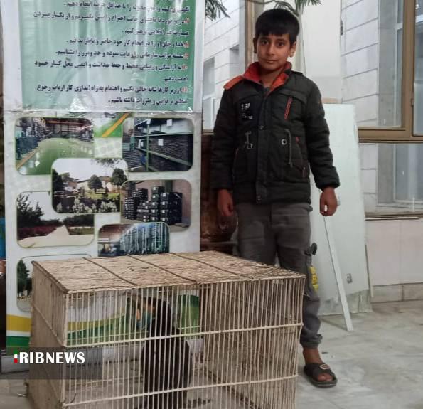 ندای لرستان