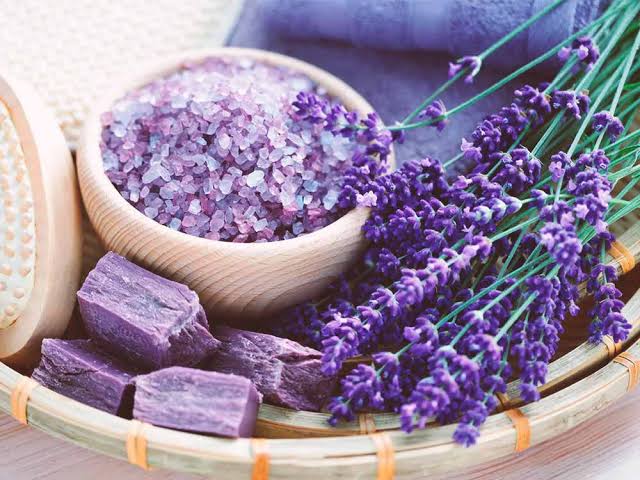 اسطخودوس درمانگر و نابود کننده حافظه !