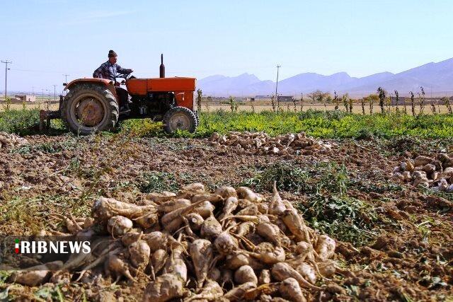 ندای لرستان