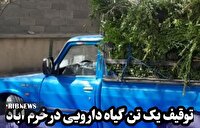 کشف یک تن گیاه دارویی در خرم آباد