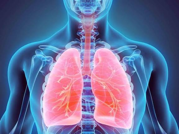 با این ۲ ویتامین‌ ریه‌هایتان را تمیز کنید!